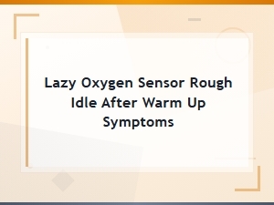 Lazy Oxygen Sensor Rough Idle After Warm Up Symptoms